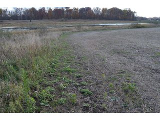 Property photo 58 - 127 Acres Offered in 8 Tracts - Allen & Dekalb County Land
